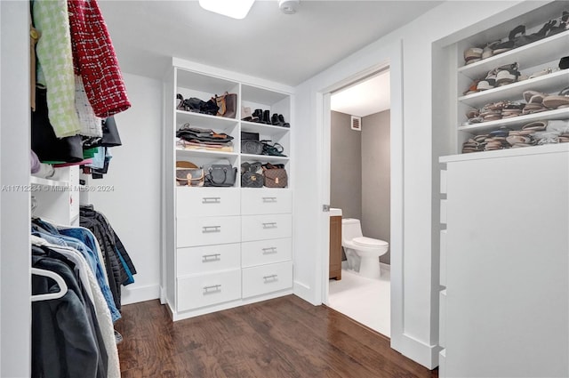 spacious closet with dark hardwood / wood-style floors