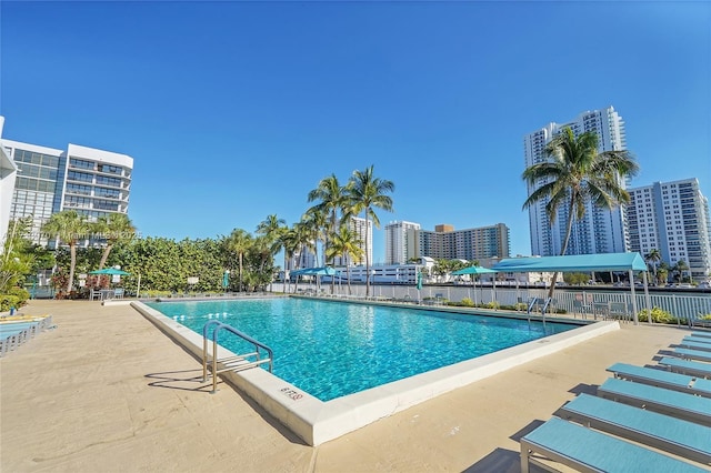 view of pool with a patio area