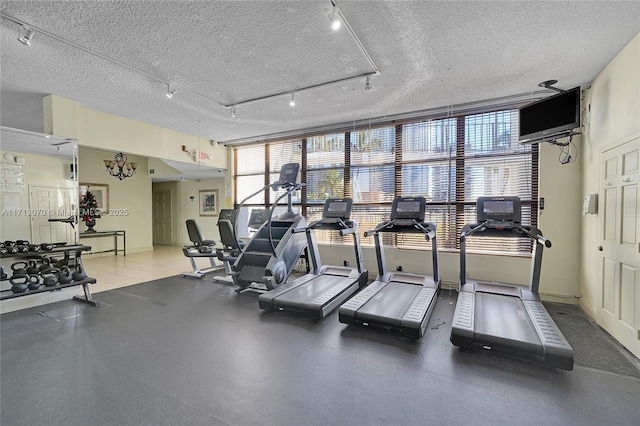 workout area featuring a textured ceiling and a wealth of natural light