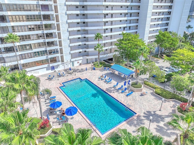 view of swimming pool with a patio