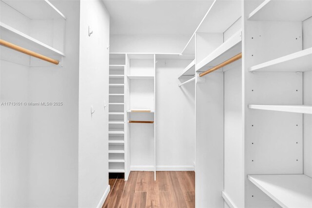 spacious closet featuring hardwood / wood-style flooring