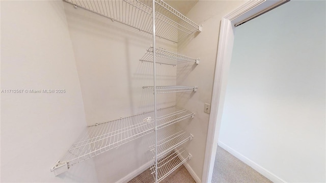 walk in closet with carpet floors