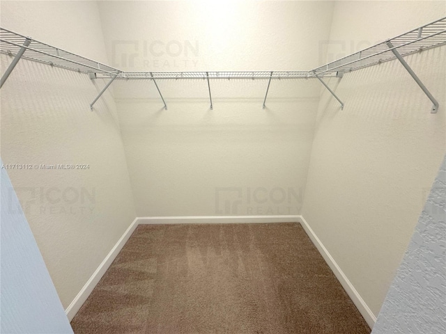 walk in closet with carpet