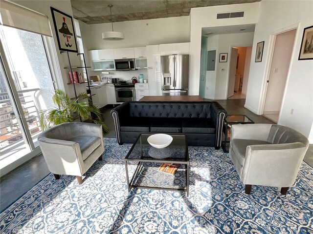 living room with electric panel and a wealth of natural light