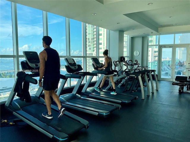 workout area with a view of city, a wall of windows, and french doors