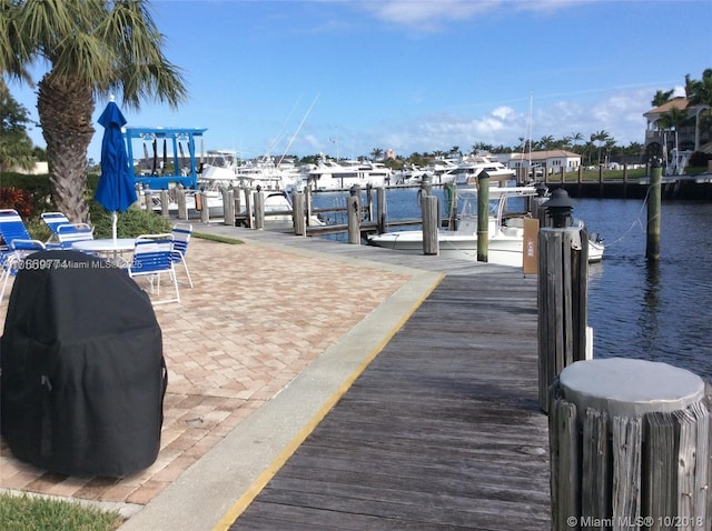 dock area with a water view