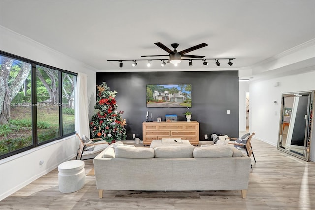 living room with rail lighting, light hardwood / wood-style floors, ceiling fan, and ornamental molding