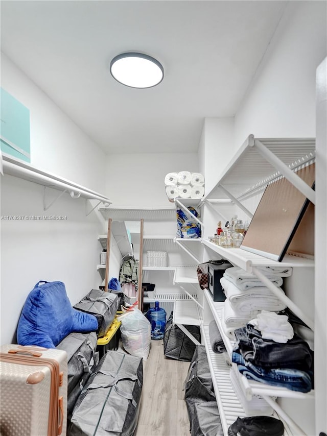 walk in closet featuring wood-type flooring