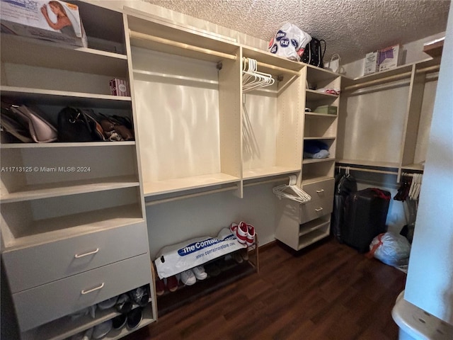 spacious closet with dark hardwood / wood-style floors