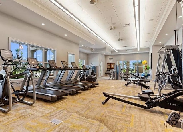 workout area with carpet flooring