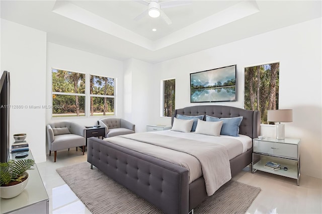 bedroom with a tray ceiling