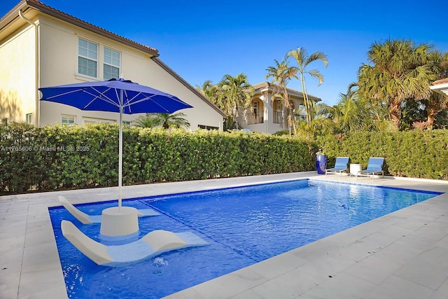 view of swimming pool with a patio