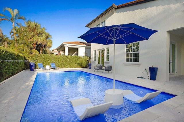 view of swimming pool featuring a patio