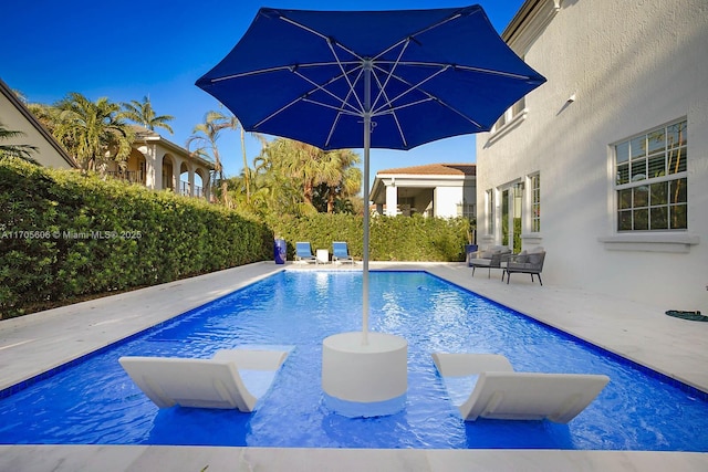 view of swimming pool with a patio