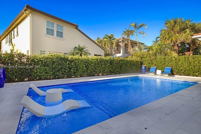 view of pool with a patio area