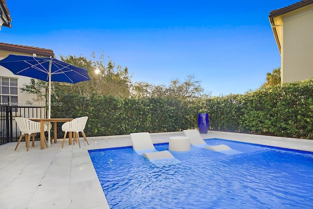 view of swimming pool with a patio