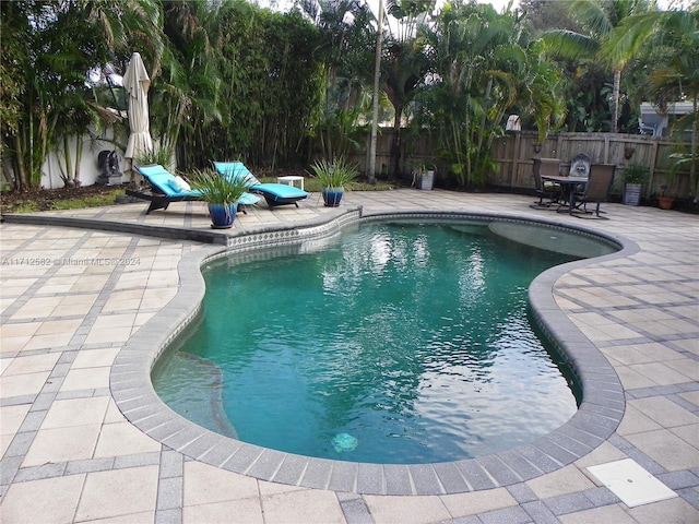 view of pool featuring a patio