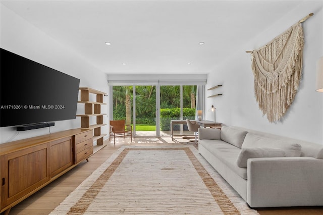 living room featuring light hardwood / wood-style flooring