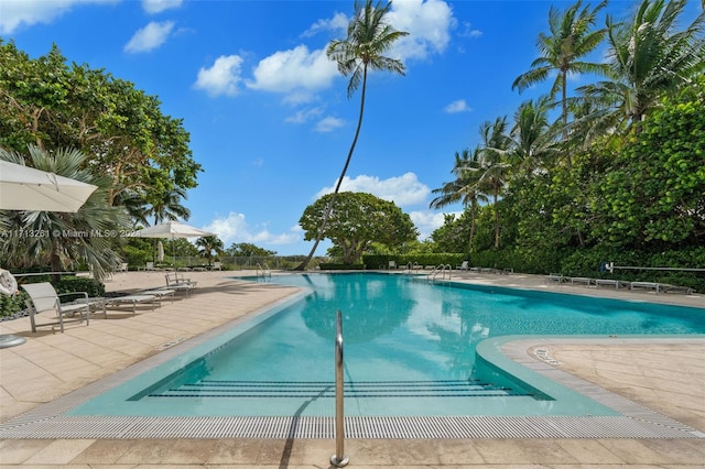 view of swimming pool featuring a patio area