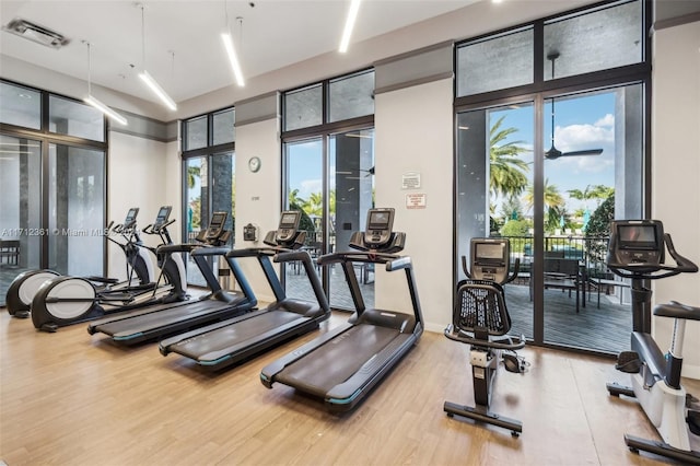 exercise room with hardwood / wood-style floors