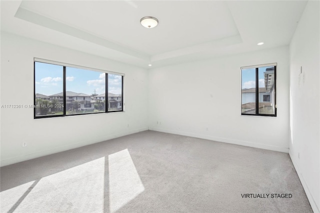 unfurnished room with light colored carpet and a raised ceiling