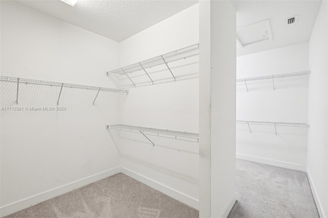 walk in closet featuring carpet flooring