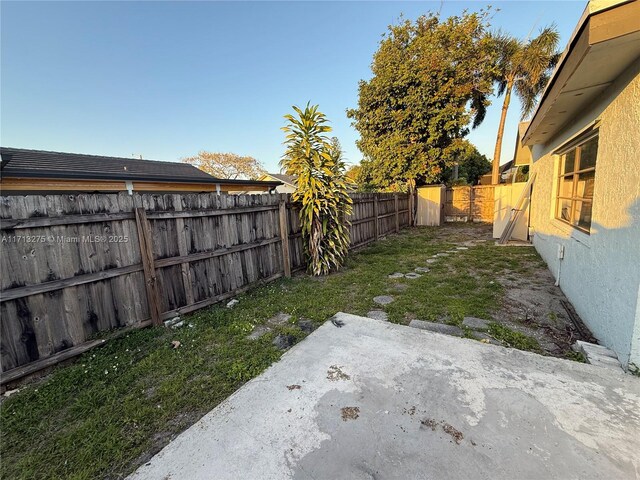 view of yard with a patio area and a fenced backyard