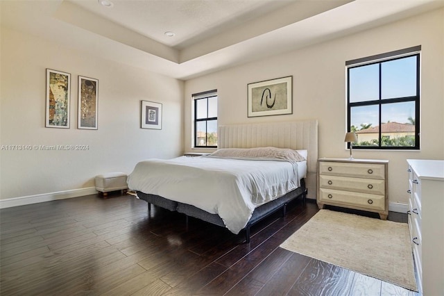 bedroom featuring dark hardwood / wood-style flooring and a raised ceiling