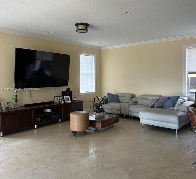 living room with ornamental molding and a textured ceiling