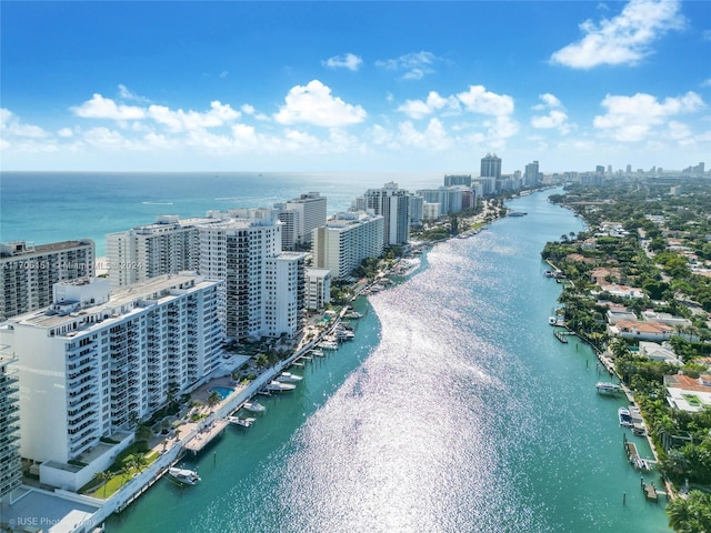 aerial view with a water view