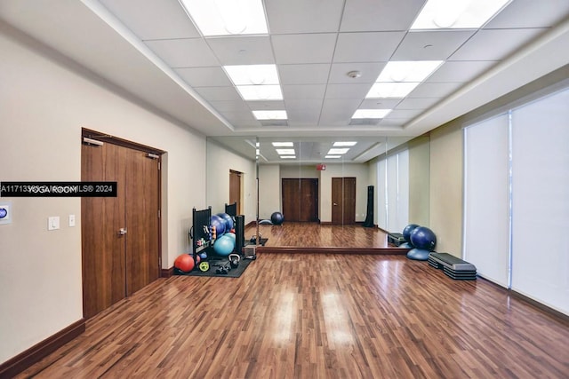 exercise area with a drop ceiling and hardwood / wood-style floors