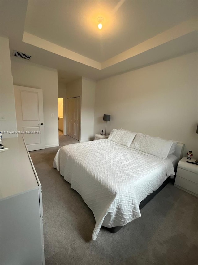 bedroom with carpet floors, a raised ceiling, and a closet