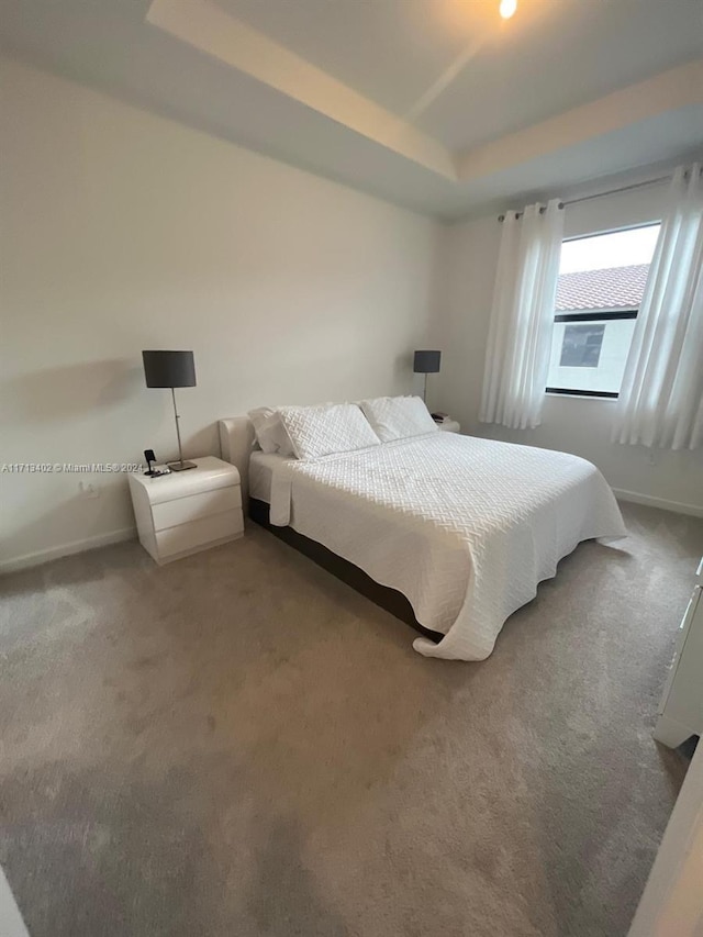 bedroom with carpet flooring and a raised ceiling