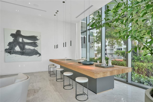 bar featuring wood counters