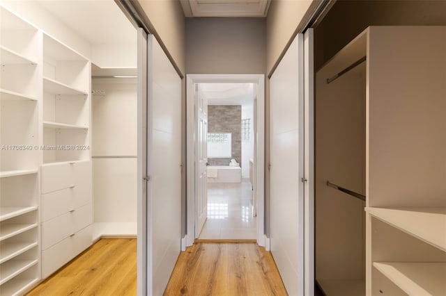 walk in closet with light wood-type flooring