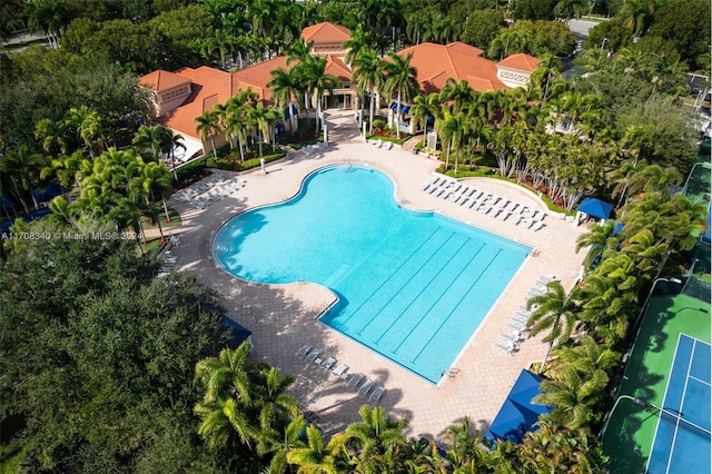 view of swimming pool