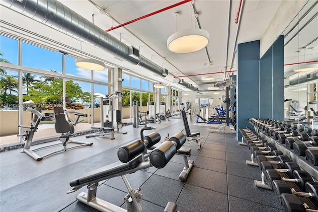 workout area featuring plenty of natural light and a high ceiling