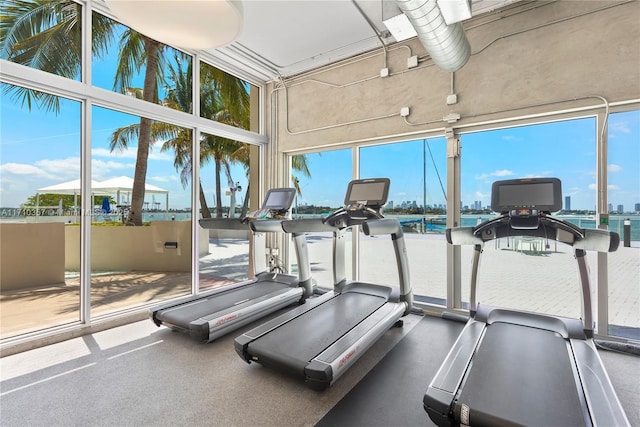 exercise room featuring a water view, a wall of windows, a wealth of natural light, and a towering ceiling