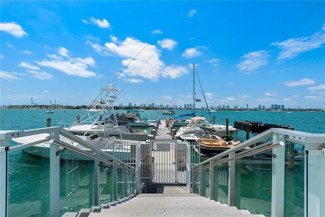 dock area with a water view