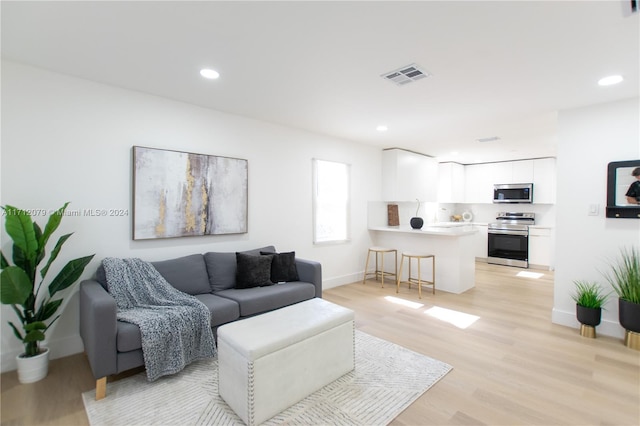 living room featuring light hardwood / wood-style floors