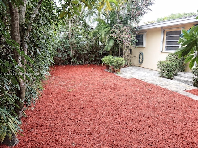 410 Miller Rd, Coral Gables, FL 33146 - view of yard