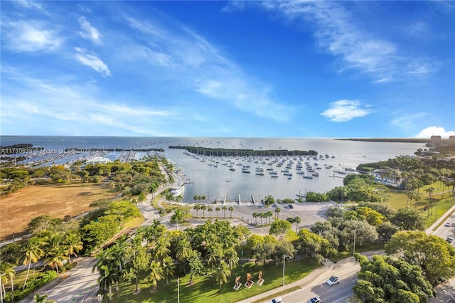 bird's eye view featuring a water view