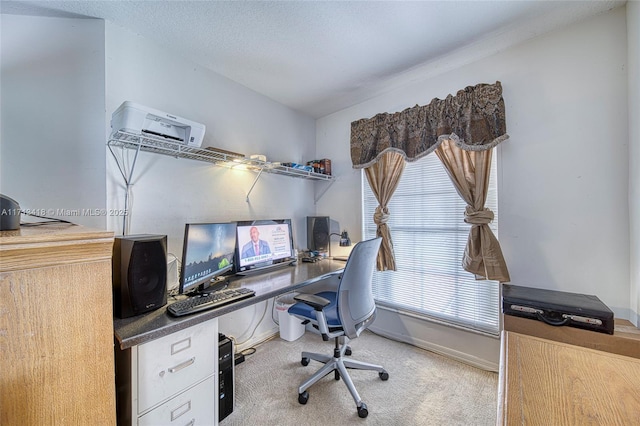 carpeted office with a textured ceiling