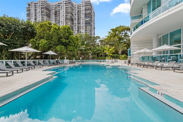 view of swimming pool featuring a patio