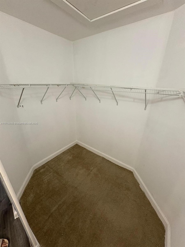 spacious closet with carpet