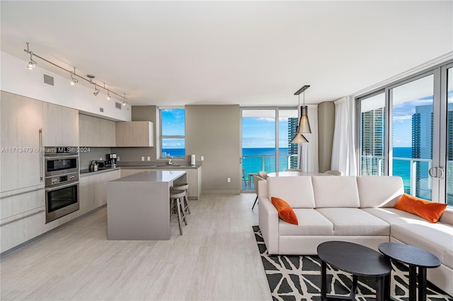 interior space with light wood-type flooring, a water view, floor to ceiling windows, and sink