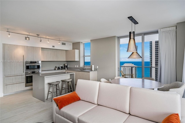 living room with a water view, floor to ceiling windows, and light hardwood / wood-style floors