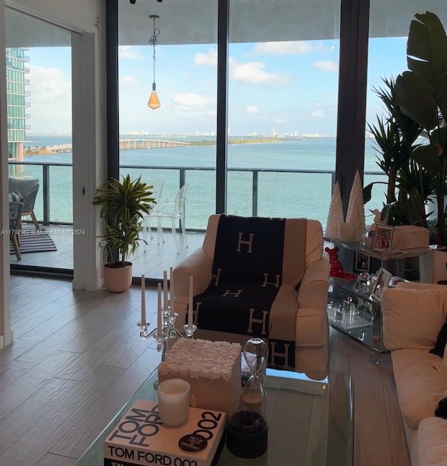 living room featuring hardwood / wood-style floors and a water view