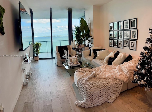 living room featuring hardwood / wood-style floors and a wealth of natural light