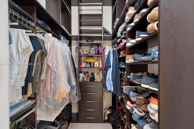 view of spacious closet